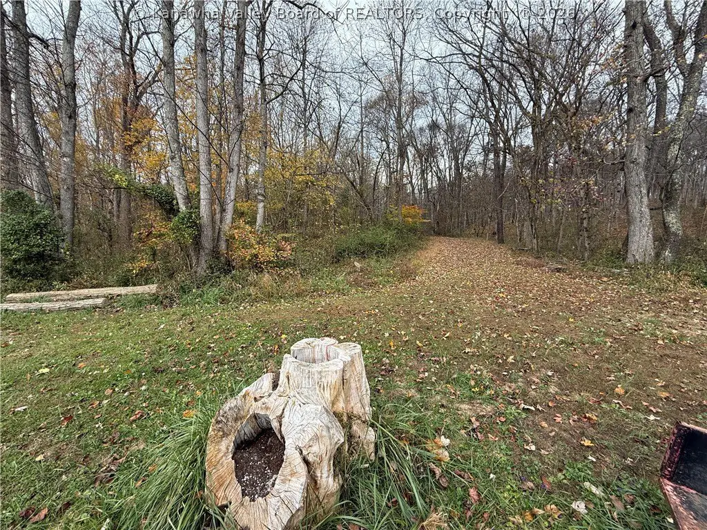 Picture 6