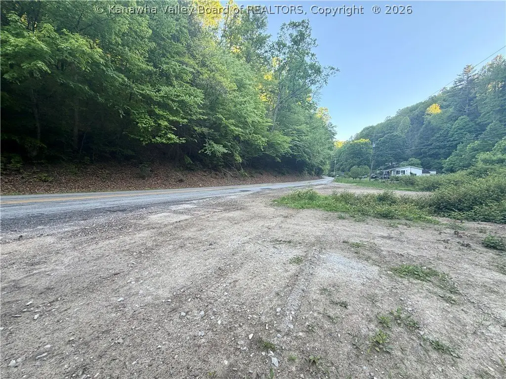 Picture 12