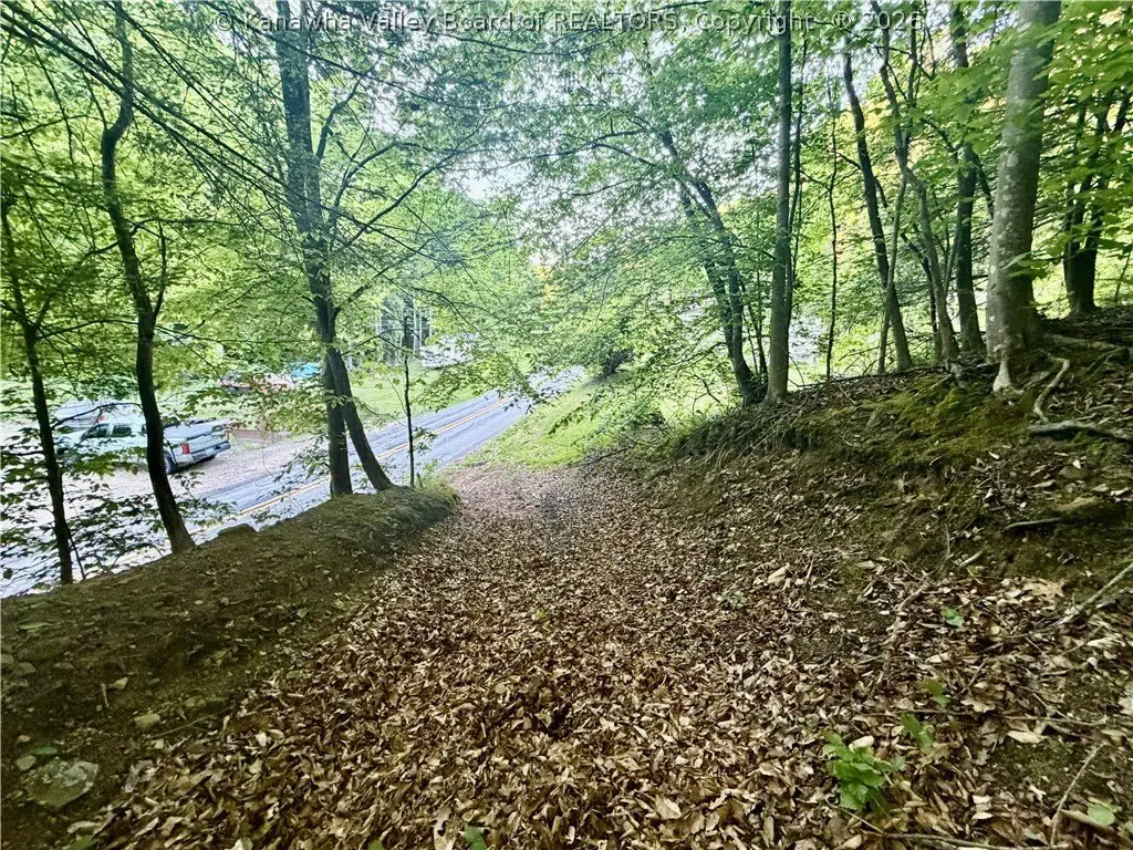 Picture 22