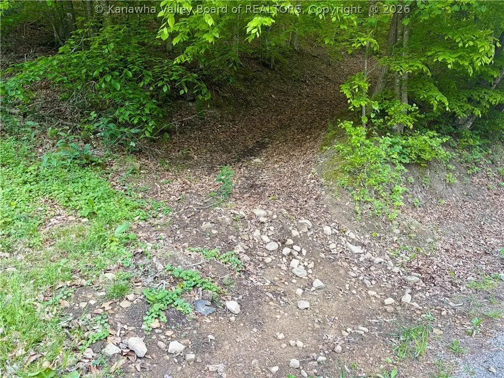 Picture 17