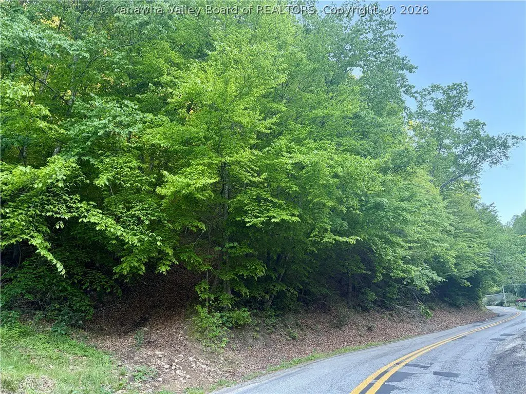 Picture 15