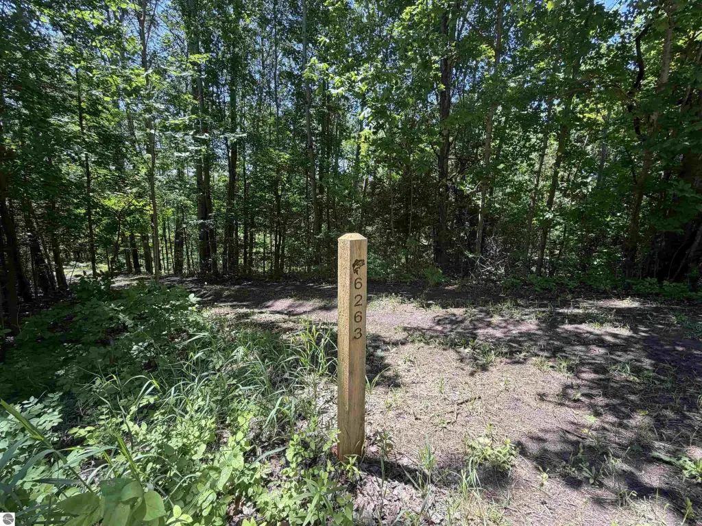 Picture 38