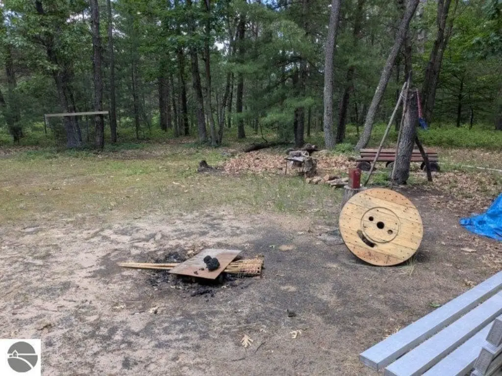 Picture 5
