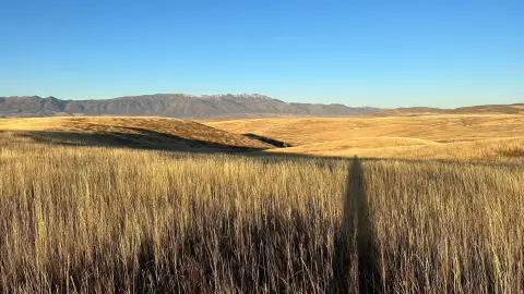 Preston, ID Land with Stream