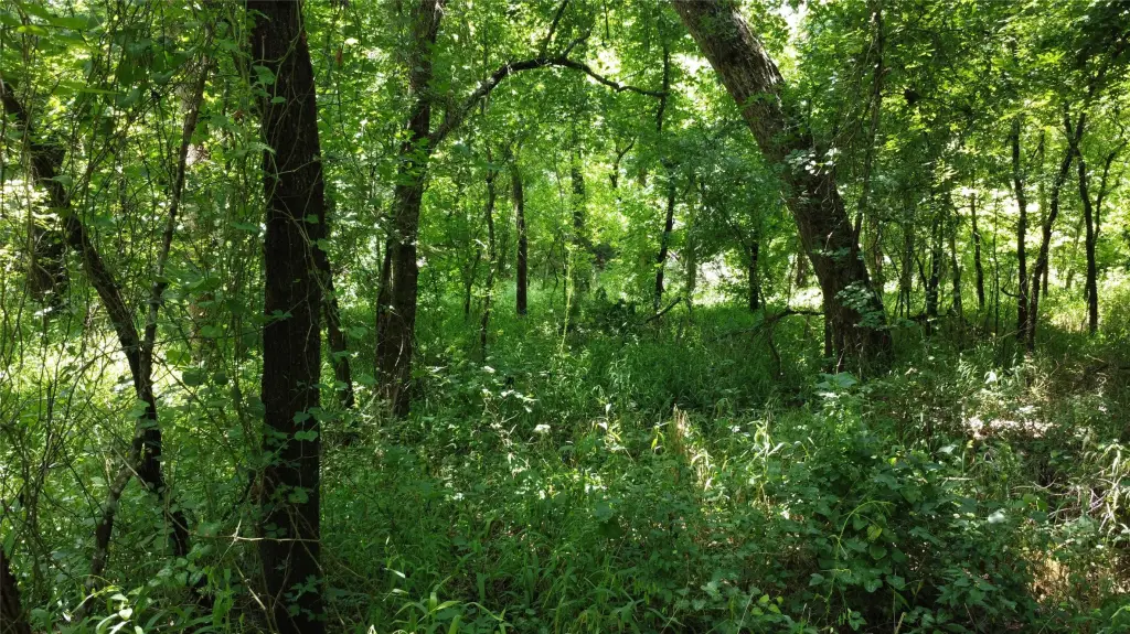 Picture 26
