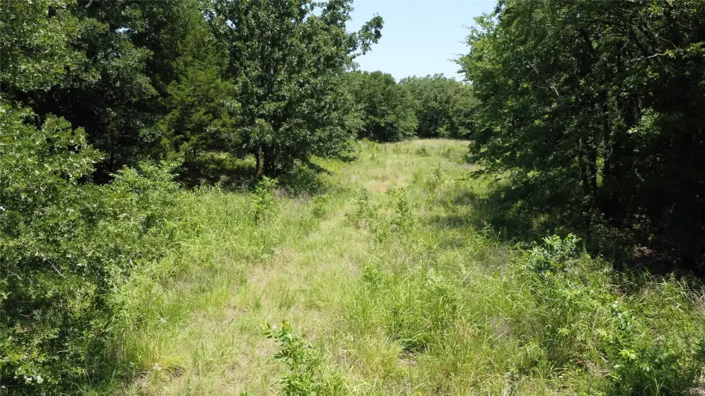 Picture 9