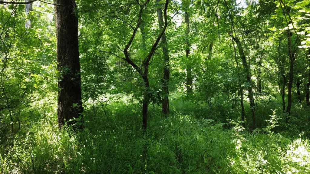 Picture 22