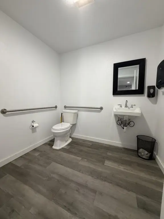 Picture 8