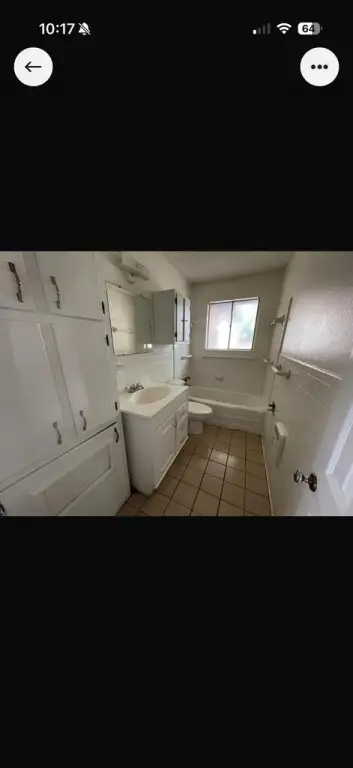 Picture 38