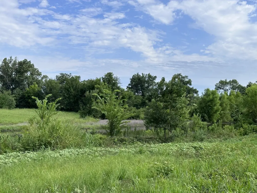 Picture 25