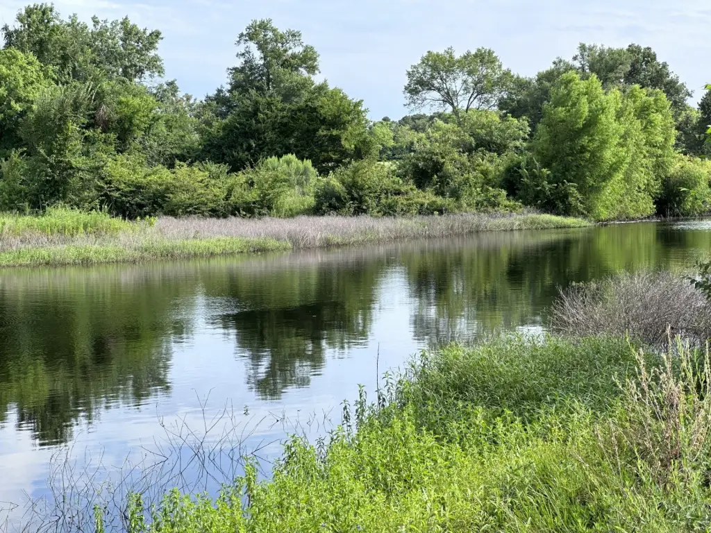 Picture 22