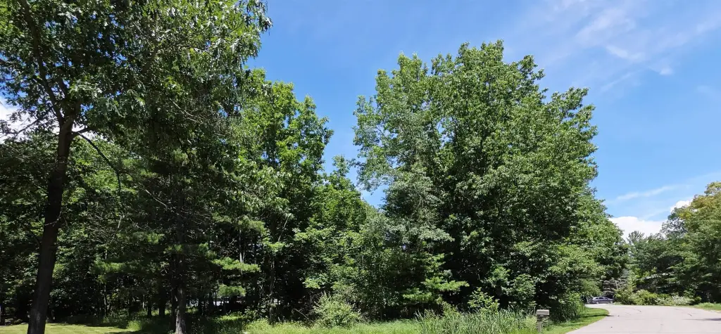 Picture 6
