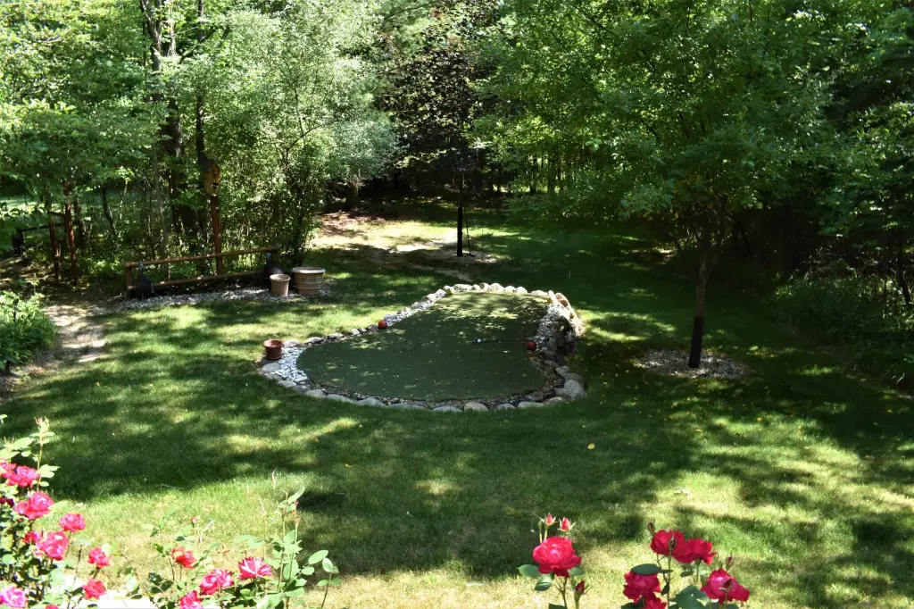 Picture 17