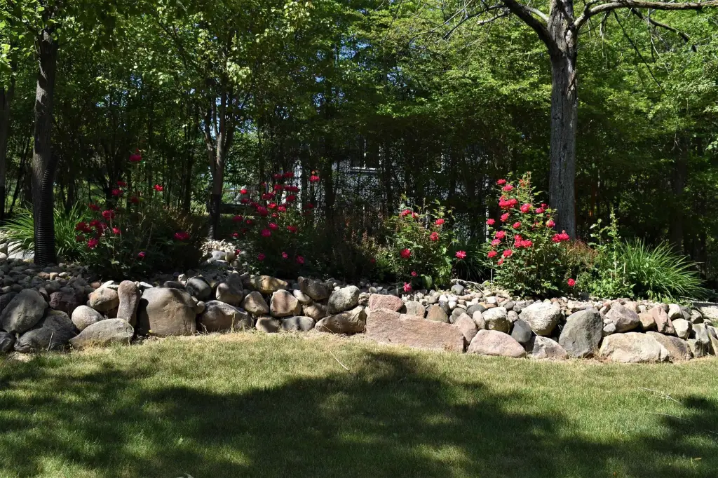 Picture 20