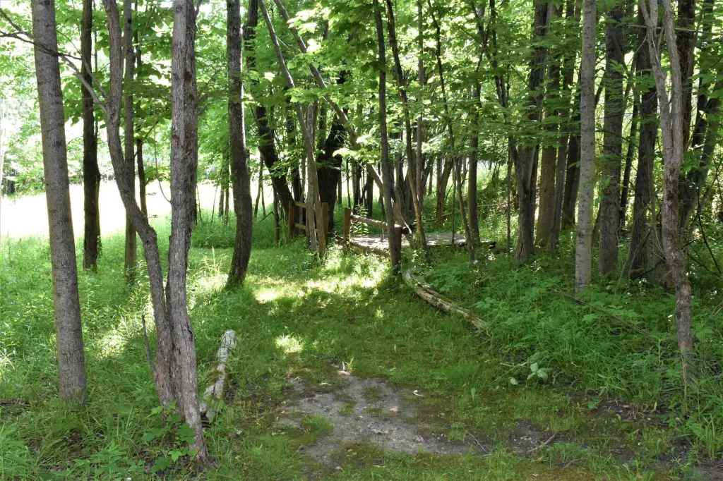 Picture 33