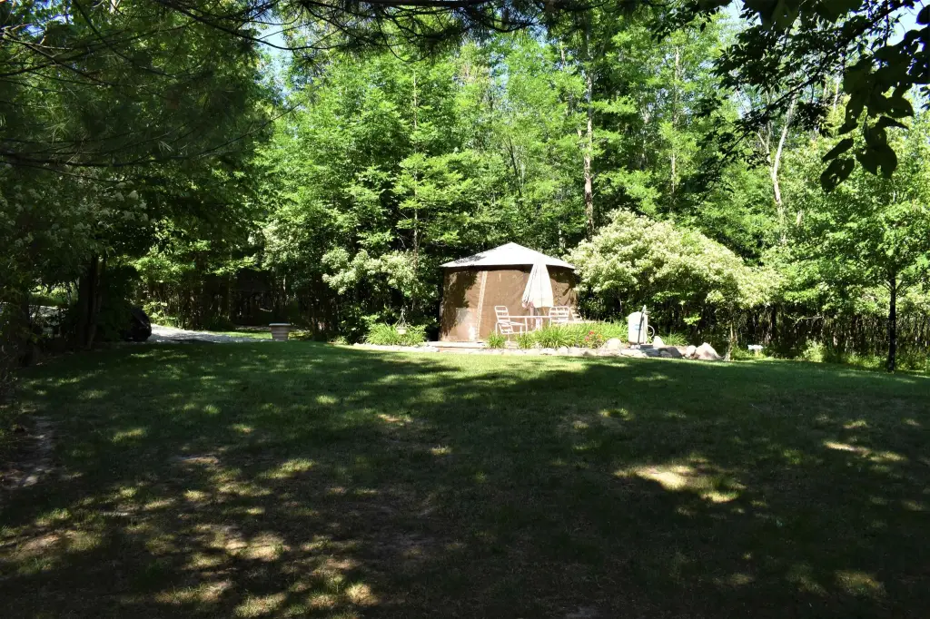 Picture 27