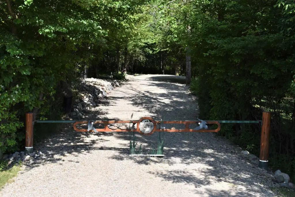 Picture 2