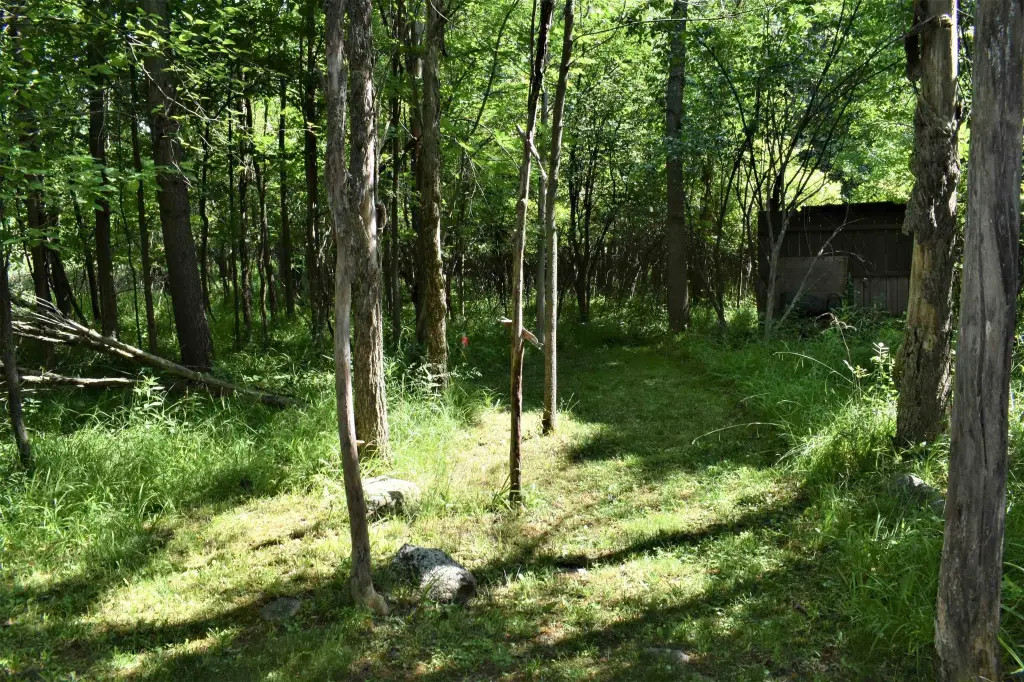 Picture 41
