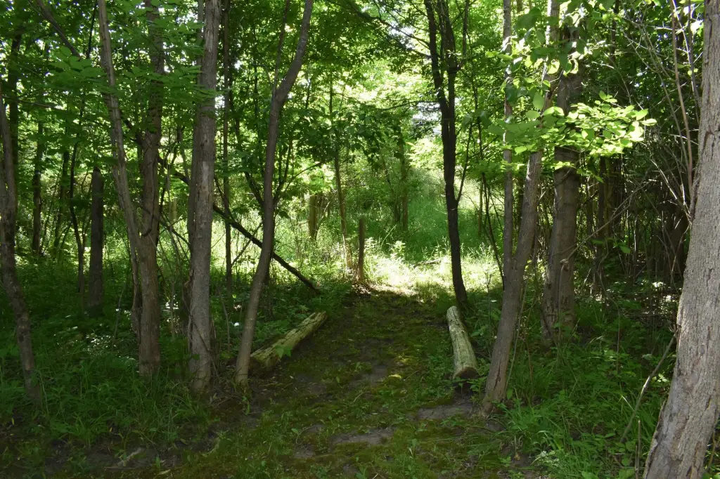 Picture 34