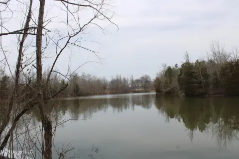 Lake Cormorant Land For Sale