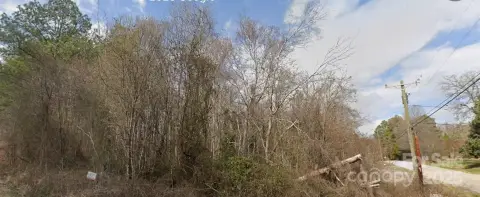 Wooded Corner Lot in Salisbury