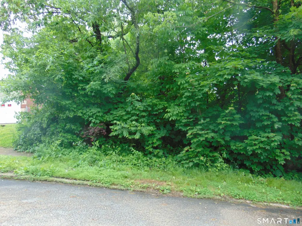 Picture 36