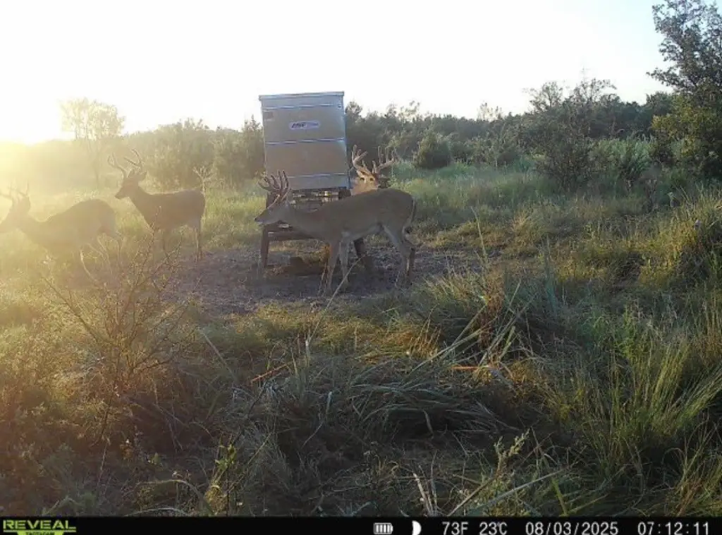 Picture 29
