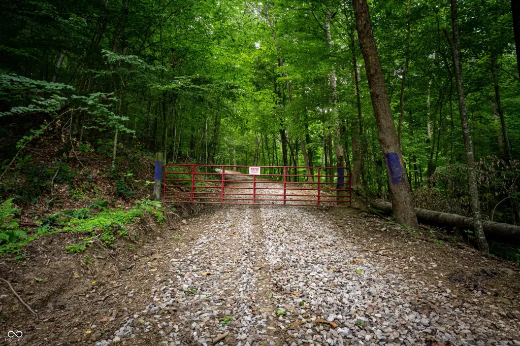 Picture 6