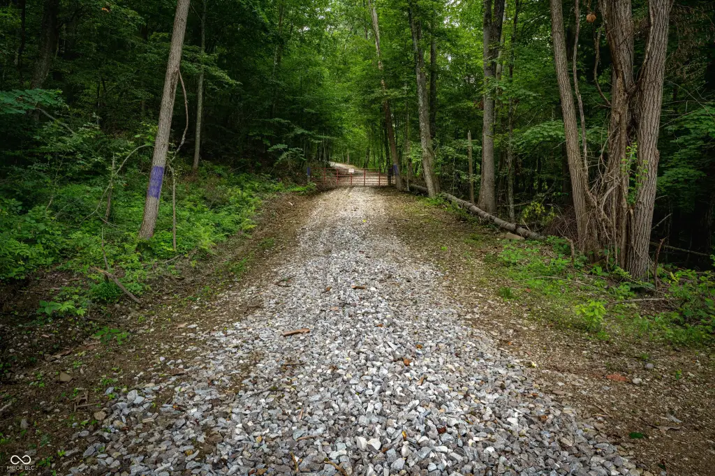 Picture 7