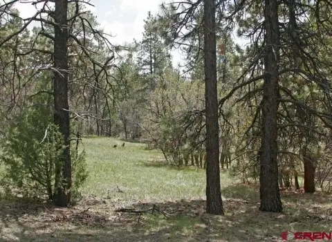Pagosa Springs Land with Views