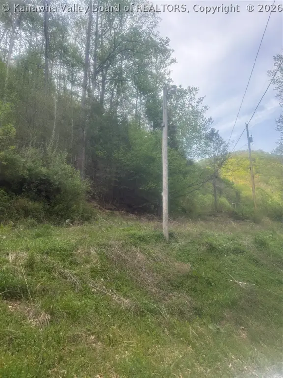Picture 4