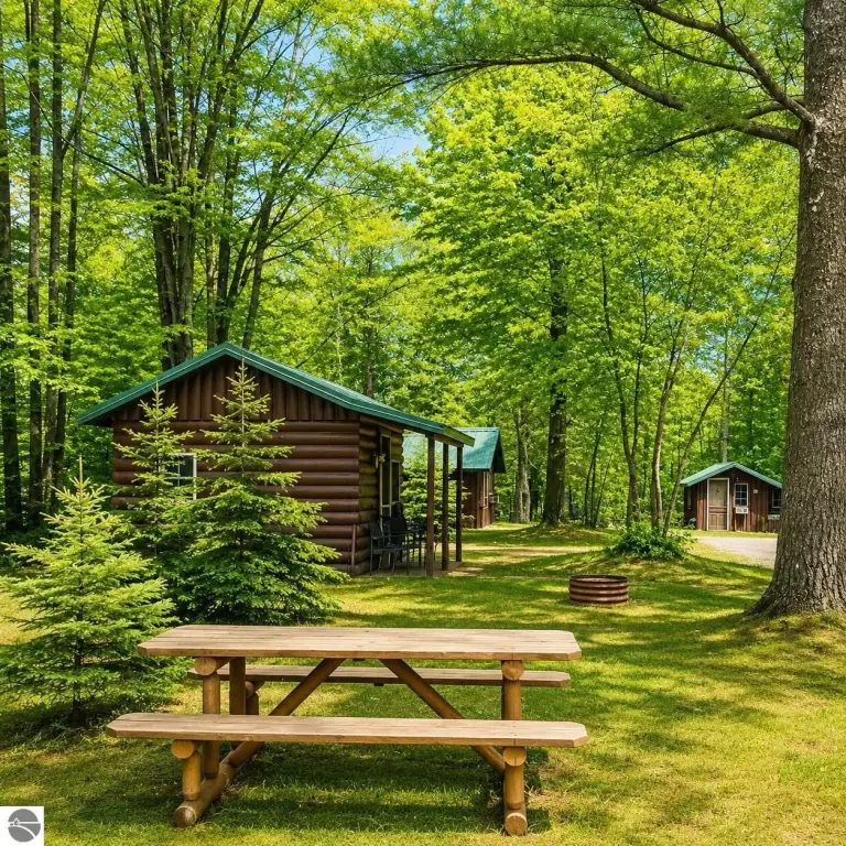 Picture 5