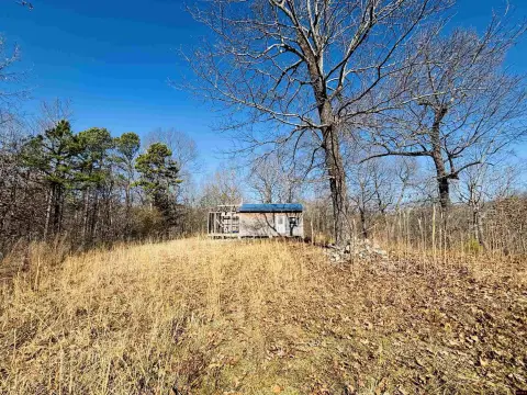 Yellville Acreage with Cabin Potential