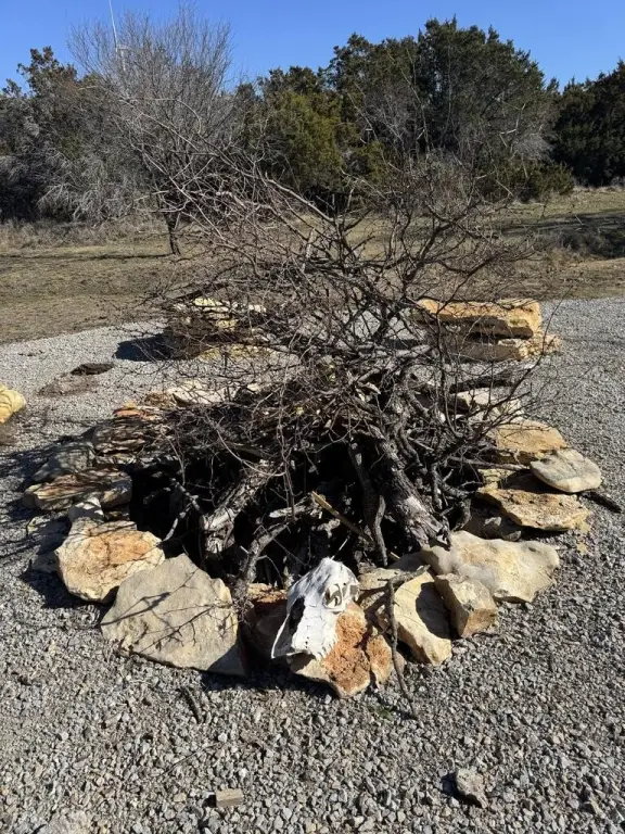 Picture 6