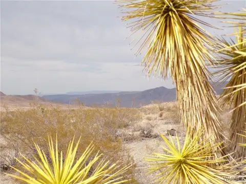 Untamed Arizona Desert Land