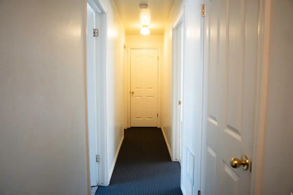 Picture 28