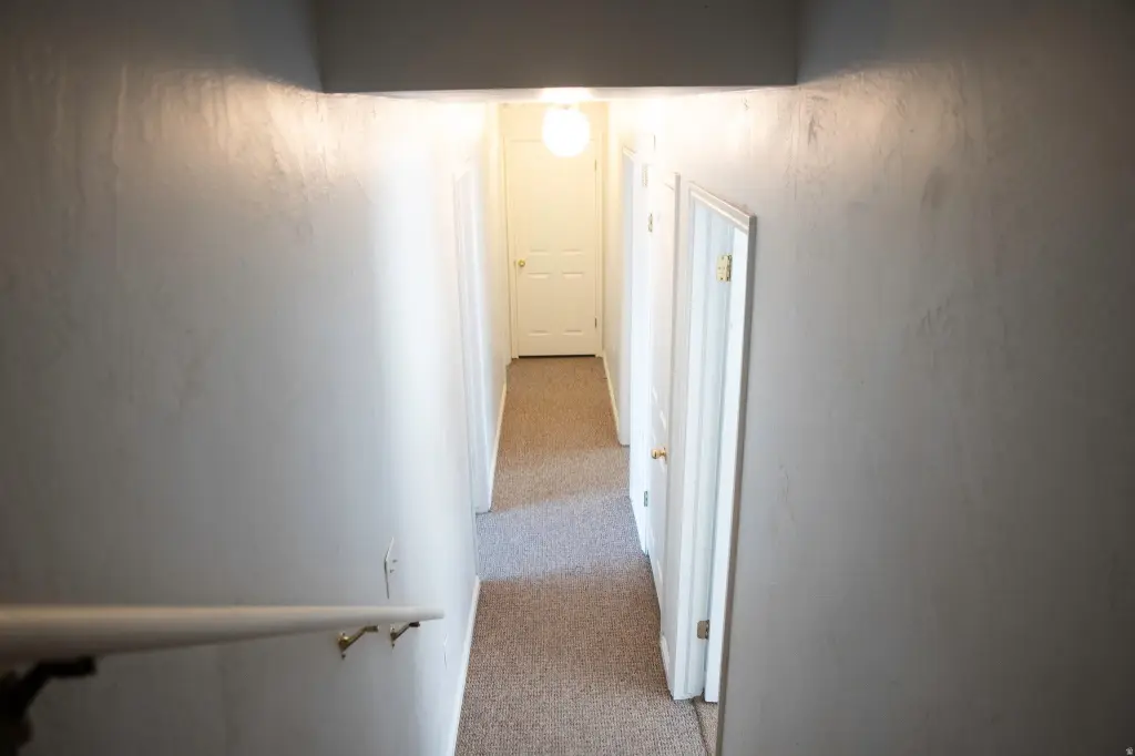 Picture 42