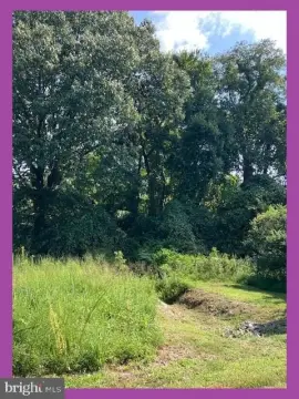 Partially Cleared Recreation Land
