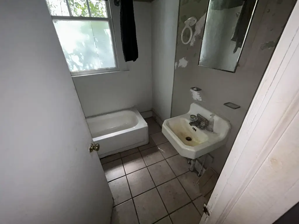 Picture 5