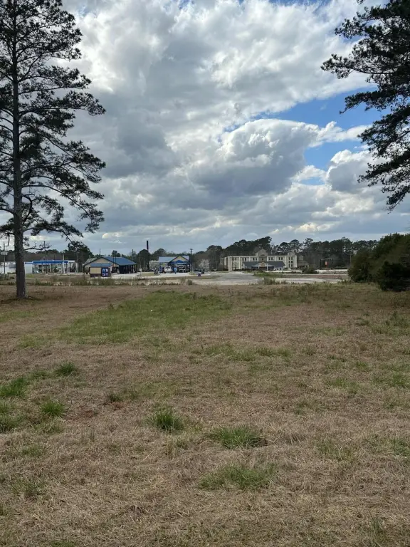 Picture 3