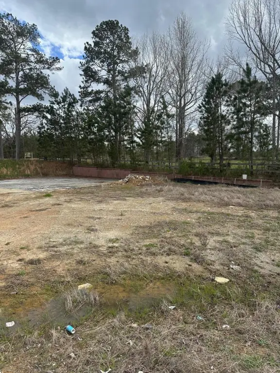 Picture 4