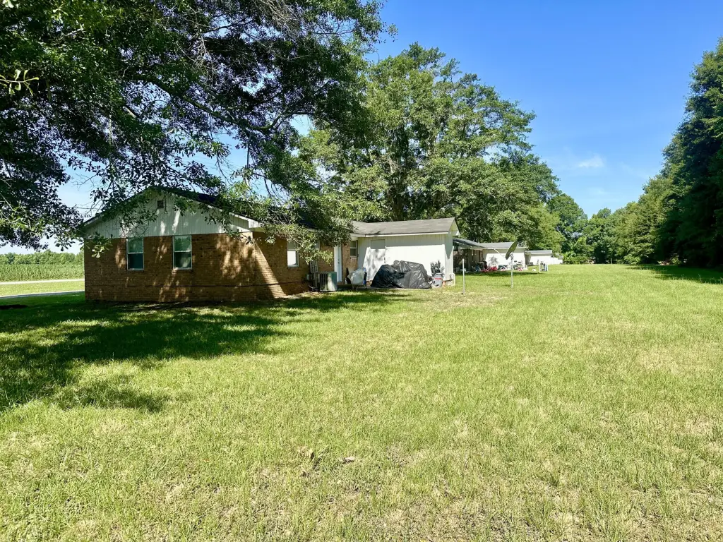 Picture 20