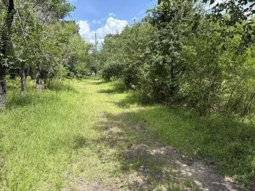 Picture 3
