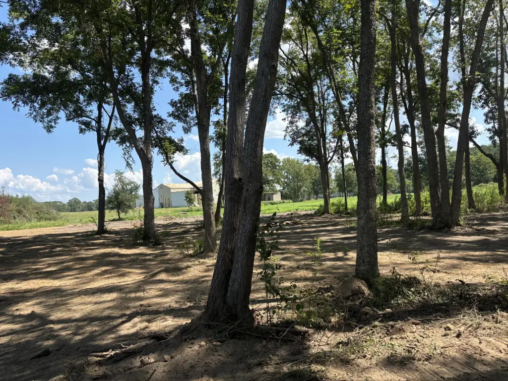 Picture 17