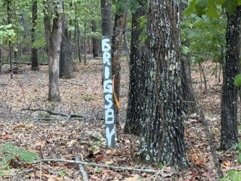 Picture 6