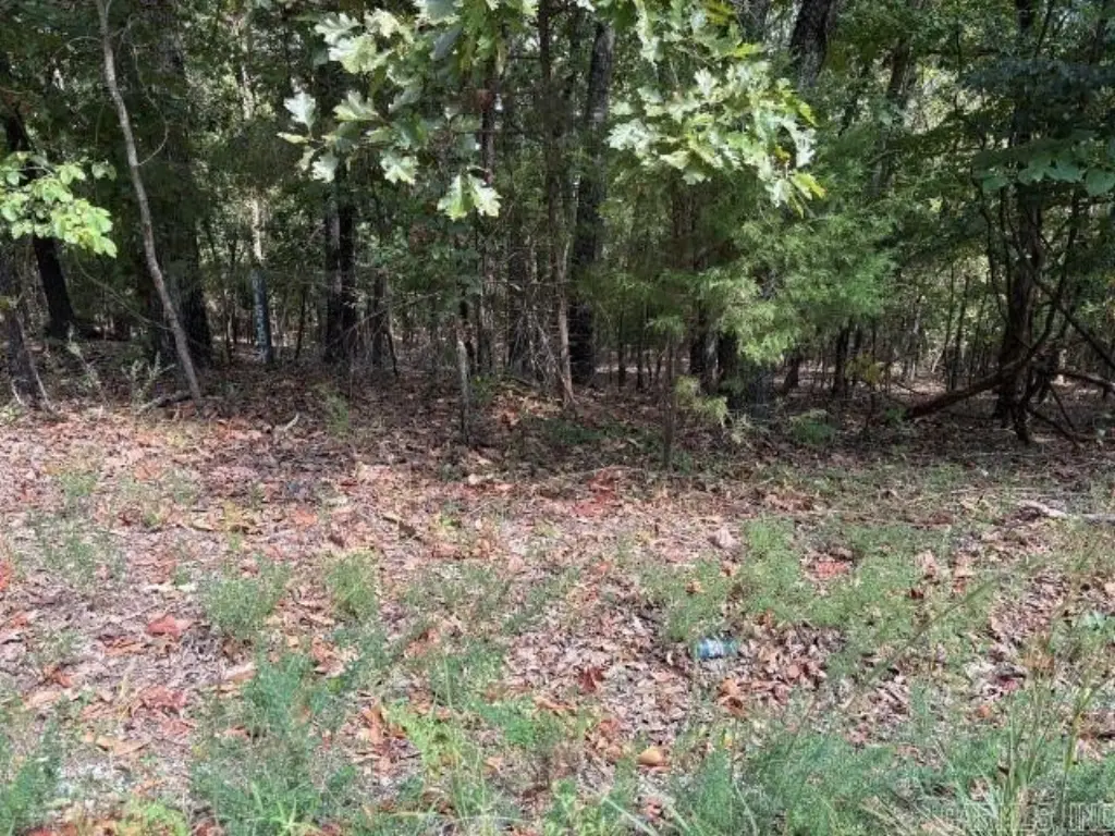 Picture 11