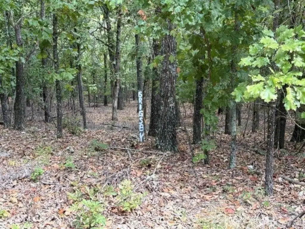 Picture 7