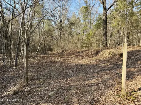 Wooded Hunting Land with Creek