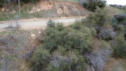 Yokuts Valley Land with Views