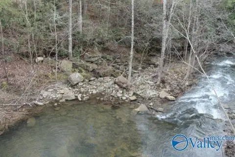 Fort Payne Wooded Acreage